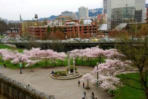 WaterfrontParkBeauty3