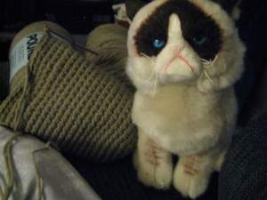 GrumpyCat