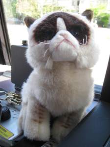 GrumpyCatReadyToGoHome