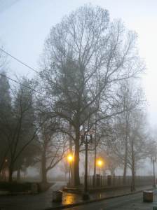 SoftFog