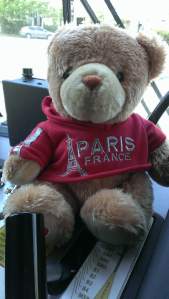 ParisBearTrainPet