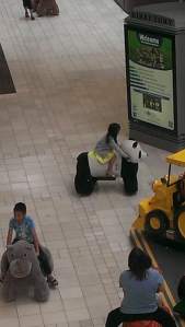 KidsRidingAnimalsAtMall