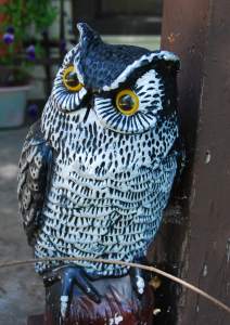 OwlYardOrnament