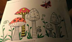 ToadstoolColoringPage