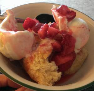 HomeMadeStrawberryShortcake